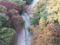 20191027a.jpg