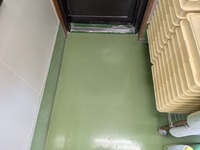 PXL_20240819_040727043.jpg